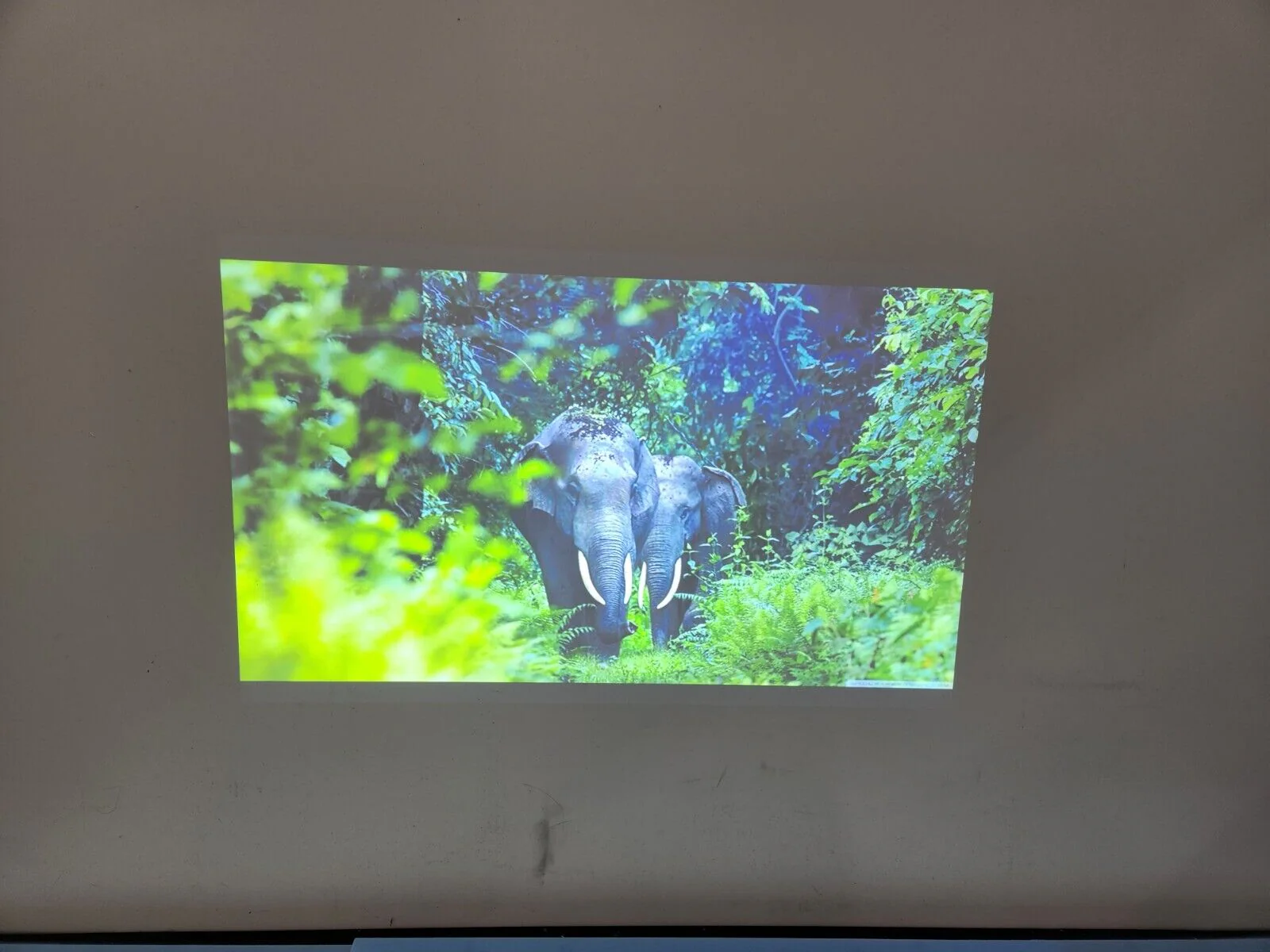 Maxell MC-WU5505 Collegiate Series WUXGA 5000 Lumen HD LCD Projector No Reserve - Image 10