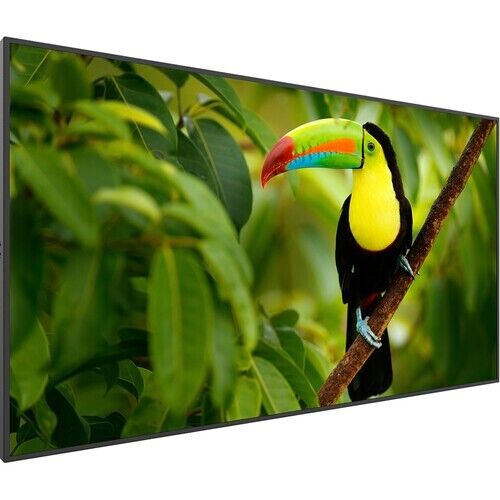 Planar Systems Simplicity Series SL5064K 50" Class 4K UHD Commercial LED Display - Image 2